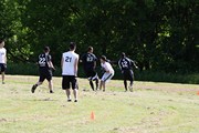 OTFL Gallery Image